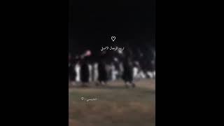 #المهره تريد الزلمه تريد الخيال#الانبار #الدليم