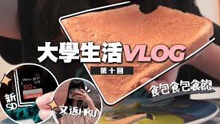 大學生活vlog／社科人sem break時要做甚麼事？