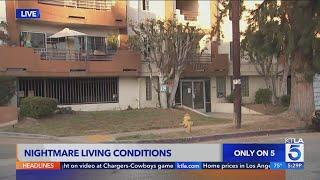 Nightmare living conditions in North Hollywood