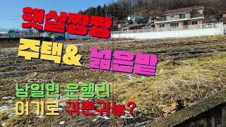 시골주택과 땅 남일면 은행리 청주주택 토지매매(주택은 매매완료 토지만 남음)