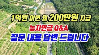 (Q&A) 질문한 내용 답변 드립니다 1억으로 매월 200만원 받는 토지연금 경매를 활용한 농지연금 투자법 Q&A