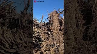 ПЛАНИРОВКА УЧАСТКА ПОД ДОМ | СТРОИМ КИРПИЧНЫЕ ДОМА | SPARTEX | #кирпич #строительство #дома #дом