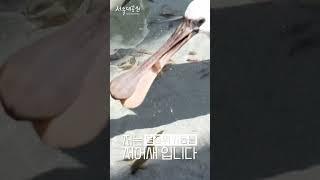 서울대공원 종보전센터에 있는 나는 누구일까요?