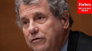 Sherrod Brown Leads Senate Banking Committee Hearing On Outpacing China In Emerging Technology