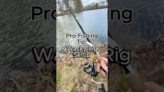 Testing Wacky Rig Setups to find the best one #bassfishing #fishing #fishingtips #wackyrig
