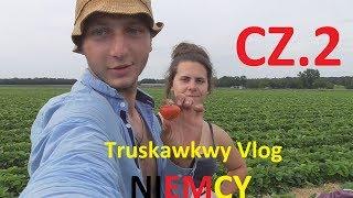 Strawberry Vlog - A set of strawberries Ahlhorn Germany 2019 Cz.2