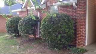 "Alpharetta Rental Houses" 3BR/2BA by "Alpharetta Property Management"