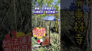 若有受諸苦惱，聞是觀世音菩薩，一心稱名，觀世音菩薩即時觀其音聲，皆得解脫。南無觀世音菩薩