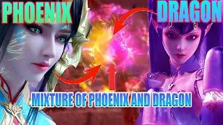 Dou Sheng Dragon Phoenix Fruit