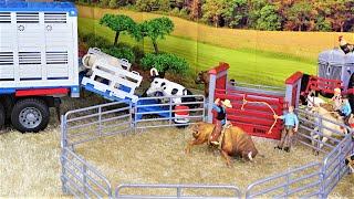 SUPER RODEO/ Stop motion/ BULL RIDING/ Jaripeo/ TOROS