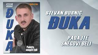 Stevan Djurnic Djuka - Padajte snegovi beli (Audio 2024)