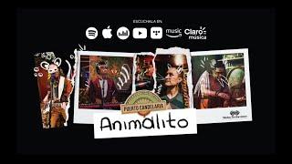 Puerto Candelaria - Animalito Video Lyric