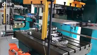 Press to Press transfer system for stamping punching parts