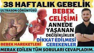 38 Haftalık Gebelik (2023)