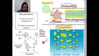 DNA e replicação - parte 1