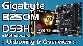 Budget Value Kabylake Motherboard :: Gigabyte B250M-DS3H Micro ATX :: Unboxing & Overview