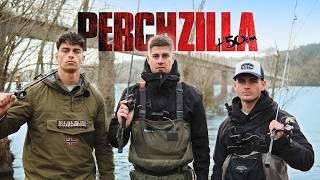 PERCHZILLA EXISTS! The Hunt for the Biggest Perch in the World!
