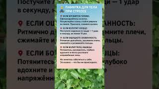 ‍️ ПАМЯТКА ДЛЯ ТЕЛА ПРИ СТРЕССЕ — КАК СЕБЯ ПОДДЕРЖАТЬ