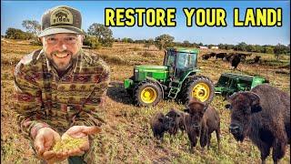 How To Save Your Land Using Cover Crops! | Better For Bison