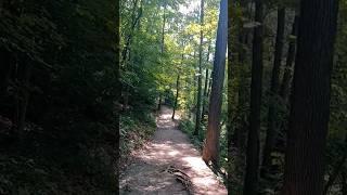 Great Trail #nature #green #hiking #forest #getoutside #Ohio #shorts #trees