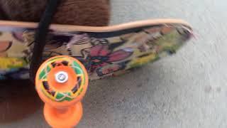 Tasha,Ricky and Susie’s skateboarding time “traveling with Tasha”