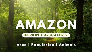 Amazon Forest _The Worlds Largest forest (Area, Population, Animals EXPLAINED) | Informative World |