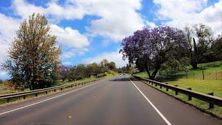 Kula Highway and Makawao road scenery views | Hwy 37 in Maui