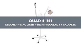 Quad 4 in 1 Steamer Mag Light High Frequency and Galvanic Machine