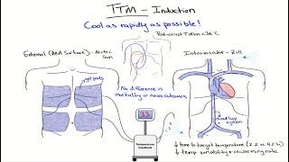 Chalk Talk: Targeted Temperature Management