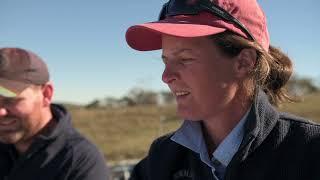 Looking back at Catchment Action NSW on the Monaro Tablelands