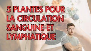 5 PLANTES pour la circulation SANGUINE et LYMPHATIQUE