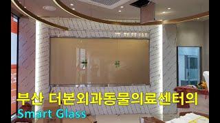 부산 동물병원 수술실의 Switchable glass, 매직글라스, 미라클글라스, 스마트글라스 / (주)글라트 / Glart Inc.