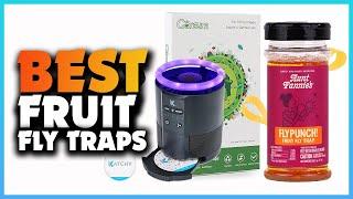 Top 5 Best Fruit Fly Traps | Extreme Reviewer