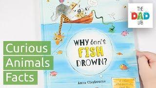 Why Don't Fish Drown? - Children's Book Review