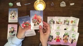 Astrology School ~ Some Astrology Basics ~ The Numinous Deck ( Deck Review )