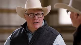 Achieving Elite Breeding: The Power of Genetic Testing in Cattle | Zoetis Livestock Genetics