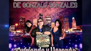 Conjunto Irresistible de Gonzalo Gonzalez - Cuenta Pagada 2014