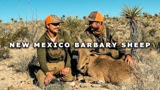 Public Land BARBARY SHEEP HUNT! 100% Success Rate!