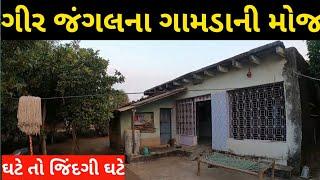 Real Traditional Village Life Gujarat ।। Life in Gir Forest ।। Village Tourism