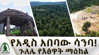 አዲስ አበባ ውስጥ የሚገኝ አስደናቂ ስፍራ! |ተፈጥሮ ለአዲስ አበባ አዳልታለች የሚያሰኝ ውብ ቦታ!| ጉዞ ኢትዮጵያ|Guzo Ethiopia‪@NBCETHIOPIA‬