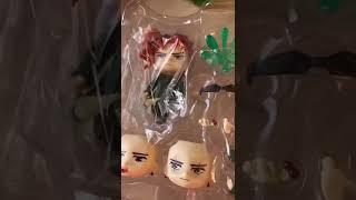 nendoroid Kakyoin Noriaki, Jojo’s bizarre adventure(read commentary please)