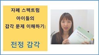[감각통합] 전정 감각에 대한 이해 - 자폐 스펙트럼 아이들을 이해하는데 매우 중요한 감각