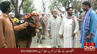 Dera ismail khan|  funny saraiki darama " chaker mandi da " on dera news tv