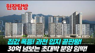 "단숨에 강남 넘본다! 프레스티어 자이, 과천 부동산 판 뒤집힌다!"