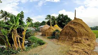 বাংলার গ্রামের আসল সৌন্দর্য। Incredible Bangladesh Village Natural Beauty। Attractive BD Village