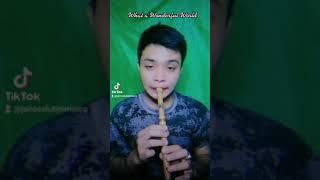 What A Wondeful World by Louis Armstrong (Bamboo Flute Cover)