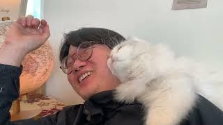 김포 고영주택