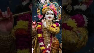 Meri jindagi ko Sambhalo #krishna #bhakti #song #radhakrishna #vrindavan #sorts