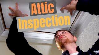 Why you need to INSPECT YOUR ATTIC and what to look out for!