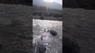 #pahalgam #pahalgamvalley #pahalgamkashmir #pahalgamdiaries #lidderriver  Music Courtesy : #aaa2bgm